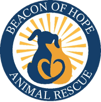 Beacon of Hope Animal Rescue: Find Your New Best Friend!
